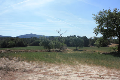 CASTELLS DEL GAIÀ SANTA PERPÈTUA DE GAIÀ-VALLESPINOSA-CASTELL DE SABURELLA-QUEROL, Plana i terres de Cal Mandíl al terme municipal de Querol