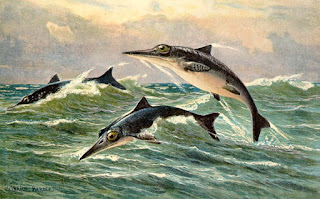 Ichthyosaurs are a problem for evolutionists. There is no evidence, and a recent fossil in the wrong place caused several problems for evolutionists.