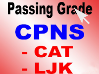 Nilai Passing Grade Tes CPNS 2013 Untuk Pelamar Umum