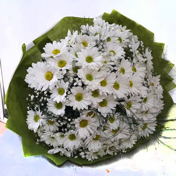  Daisies & gypsophila bouquet