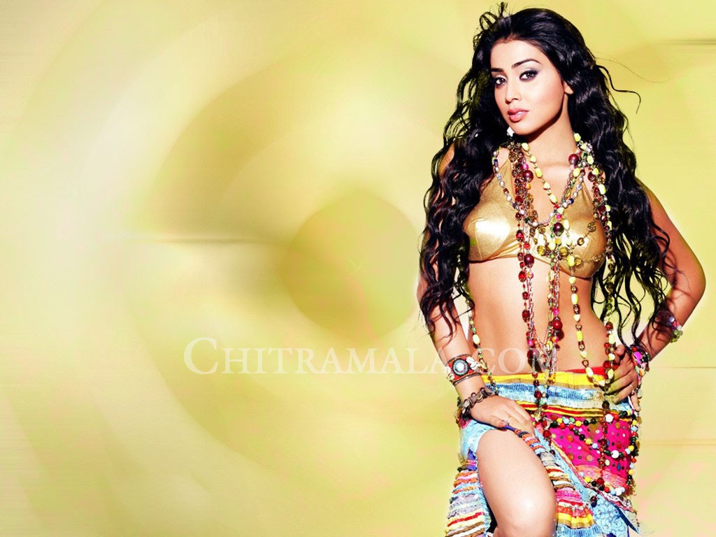 Shriya Saran Beautiful Saree Wallpapers | Filmvz Portal