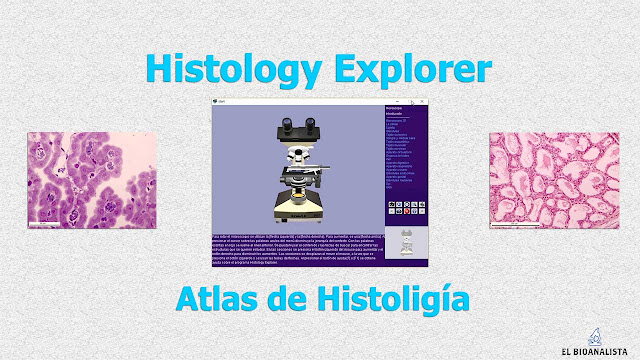 histology explorer atlas de histologia para PC