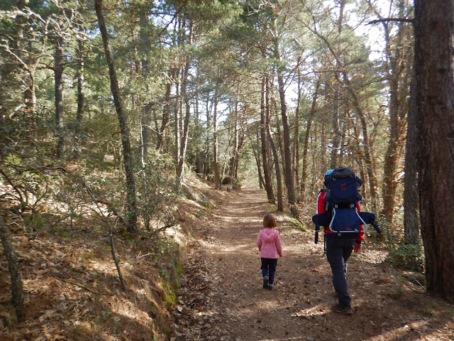 Sendero al Coll de la Foguina