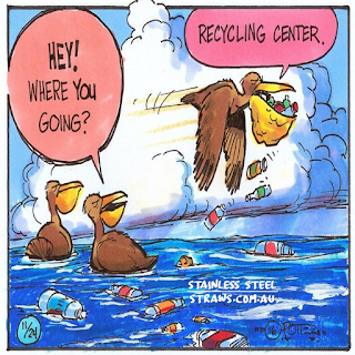 pelican plastic free cartoon