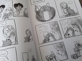 avis planches chat perte d'un chat en bd Caline Vanille Frimousse Pricesse Teddy avis critique image chronique littéraire