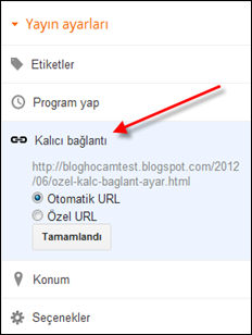 Blogger Özel Kalıcı Bağlantı Ayarı