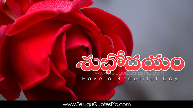 Telugu-Good-Night-Telugu-quotes-Whatsapp-images-Facebook-pictures-wallpapers-photos-greetings-Thought-Sayings-free