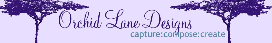 Orchid Lane Designs