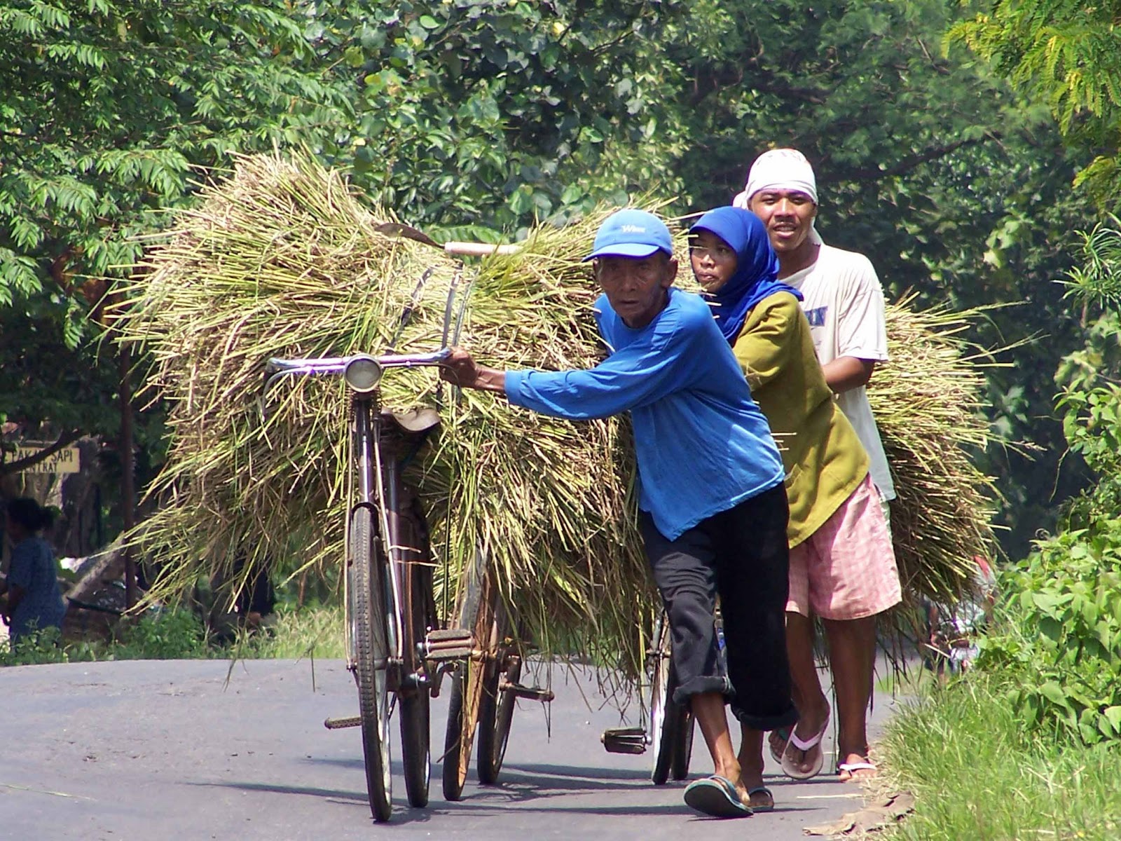 Untuk Bangsaku Golongan Miskin  di Indonesia