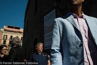 Ferran Taberner i Raset, Fotoviva