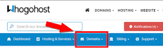 setup custom domain on whogohost