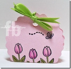 ScallopBag4 wm