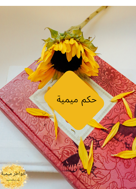 حكم ميمية 6