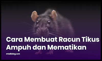 Cara Membuat Racun Tikus Ampuh Dan Mematikan