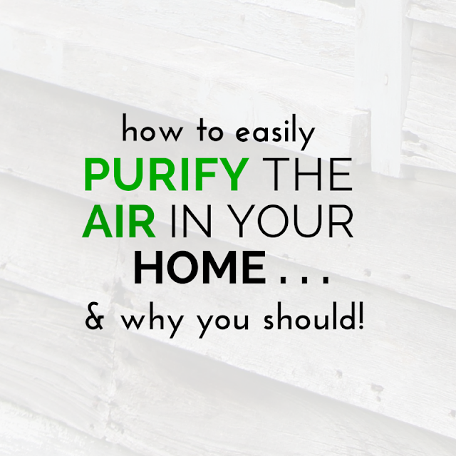 The air in your home could be more polluted than your outside air causing flu, headaches and serious disease! Tap into quick strategies here for easy solutions to remedy those musty smelling and toxin-laden environments to breath easy and make your home smell great! tagsbymissie.blogspot.com