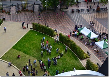 10 science fest from library garden