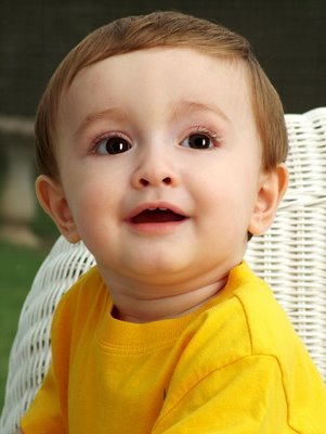  Baby Photo on Cute Baby Boy Posing For Photo Picture