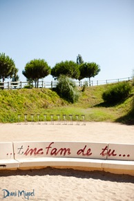 pintada22