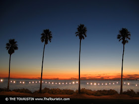 Four palm trees in a row illuminated by fairy lights and the orange sunset over the ocean.