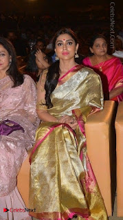 Actress Shriya Saran New Images in Silk Saree at Gautamiputra Satakarni Audio Launch  0022.jpg