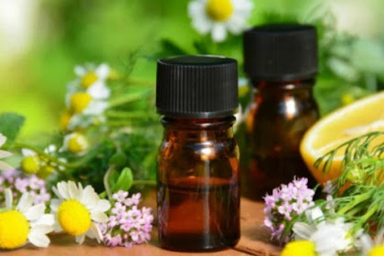 Let's See the Benefits of Essential Oils for Body Relaxation