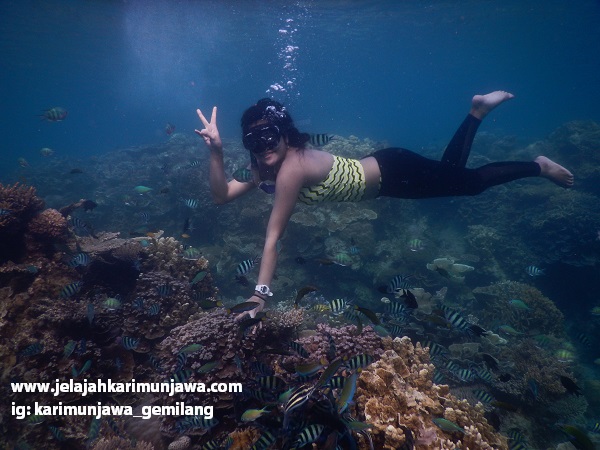 biro wisata jelajah karimunjawa