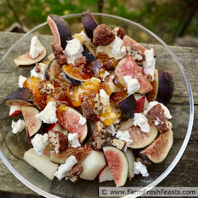 pic of a bowl of figs and apples, topped with goat cheese and drizzled with honey