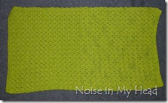 Green Spa Towel finish 5-16-12