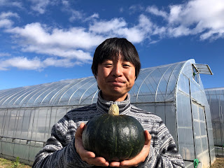 【20201121】初収穫のカボチャ