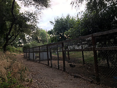 Looking the other direction at the chicken coop in Orangevale, California