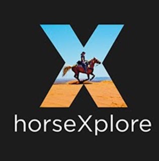 https://www.horsexplore.com/ireland-adare