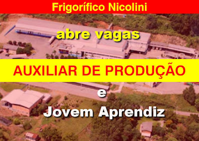 Frigorífico Nicolini abre vagas para AUXILIAR DE PRODUÇÃO e Jovem Aprendiz