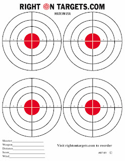 Кольцевая мишень х4. Ring target x4.