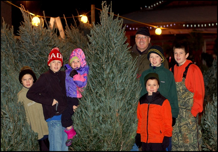 tree2