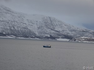 DSCN0289