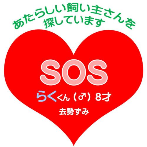 https://mon-ju.blogspot.jp/2017/06/blog-post.html