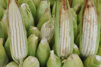 Elotes tiernos