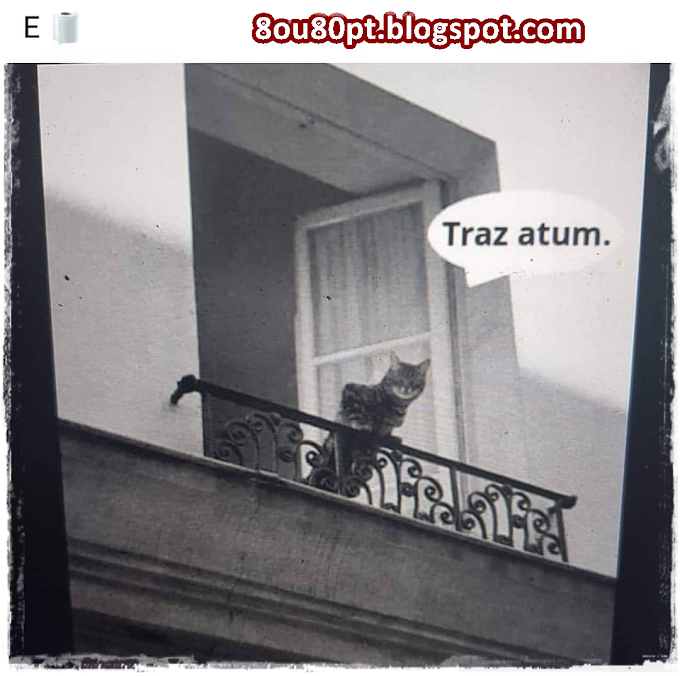 Traz atum... e ....