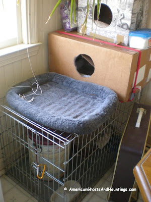 Poltergeist activity has been seen around this pet cage on several occasions.  It is as if some invisible force is trying to get out.