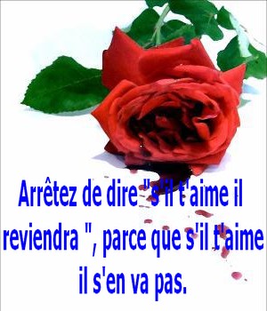 citation pour retrouver amour perdu