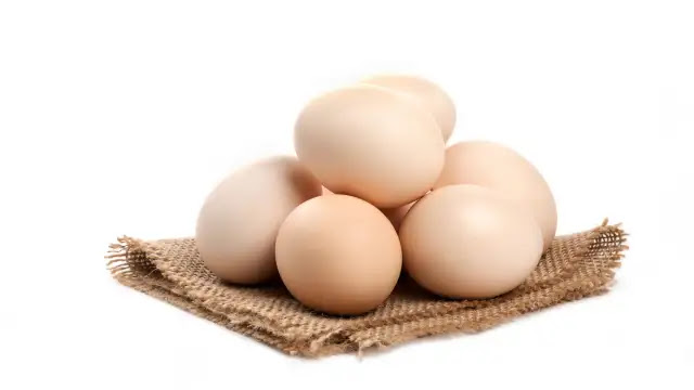 18 Egg Nutrition: Exploring the Facts