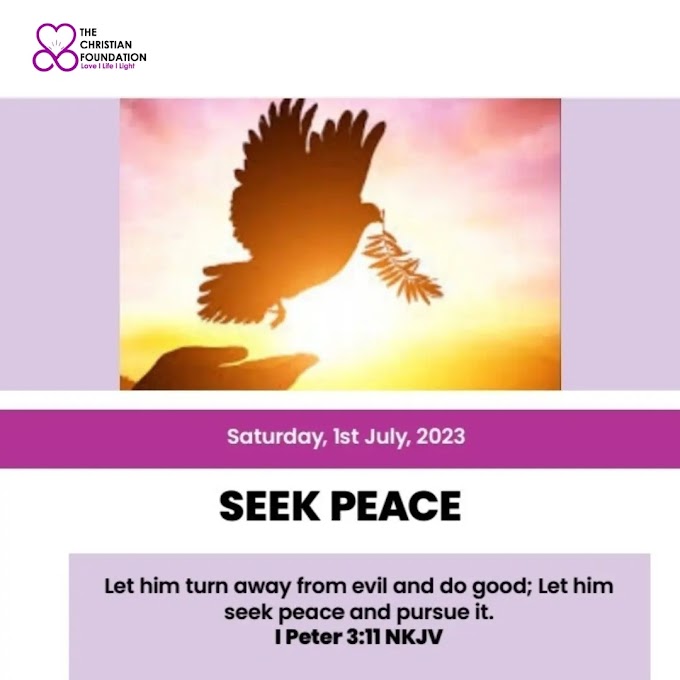 SEEK PEACE | LOVE, LIGHT AND LIFE 