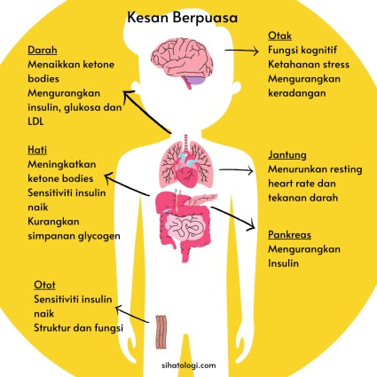 intermittent fasting