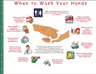 ServSafe, USDA recommendations on when to wash your hands, especially during the coronavirus outbreak