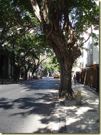 DSC00357
