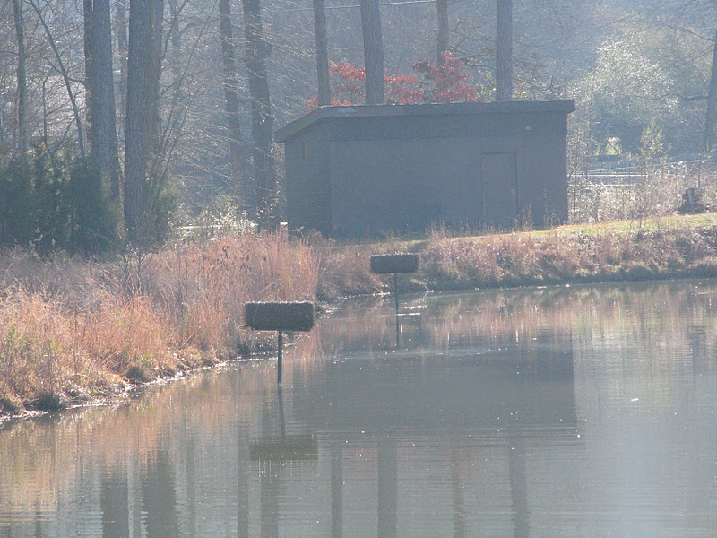 Mallard+Duck+Nesting+House ... Bay Golf Course Maintenance: Building ...