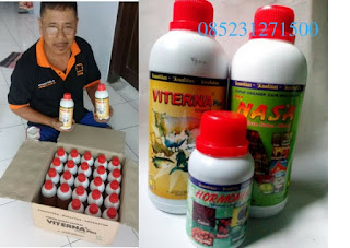 JUAL -VITERNA -PLUS -DI -PAGU- KAUMAN- KEDIRI- 085231271500