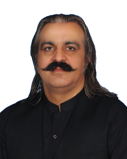 Mr. Ali Amin Khan PNG Picture PTI