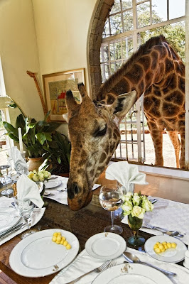 Giraffe Manor