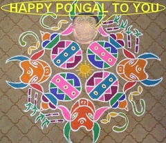 pongal